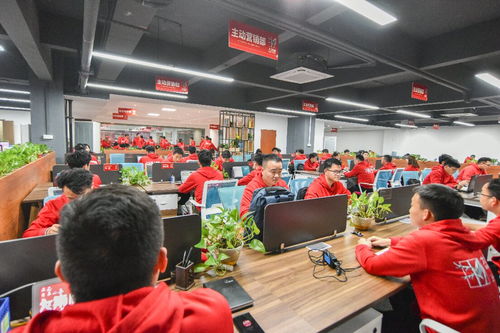 岩石上的时光之书 2026温州岩板市场趋势与品牌选择的美学笔记